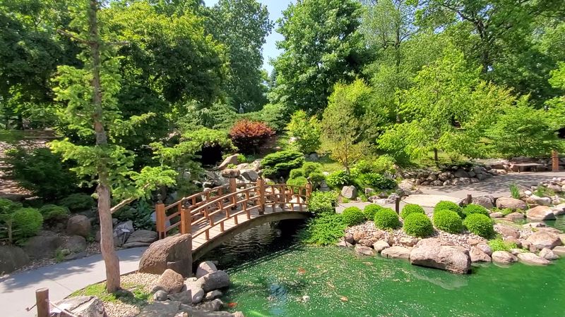 A Peaceful Afternoon in Bloom