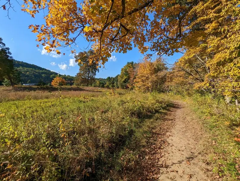 A Peaceful Sanctuary Tucked Into Southbury
