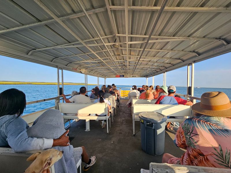 Salt Air And Pony Tracks, Assateague Explorer Pony Express Cruise in Chincoteague, Accomack County
