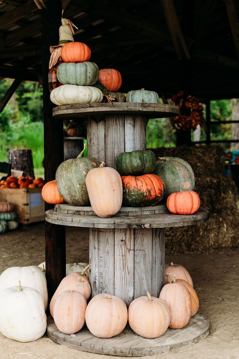 Pumpkins and Mums in Vienna