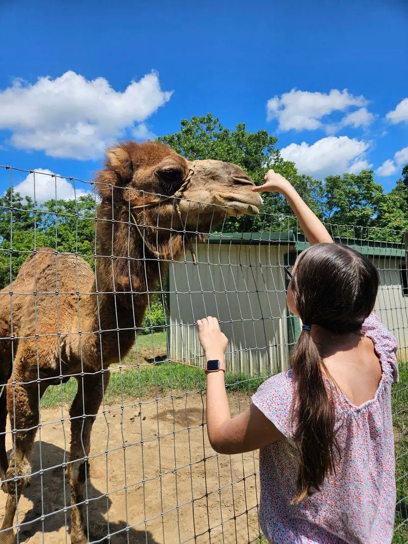 A Wider Animal World at Family Traditions Animal Adventure