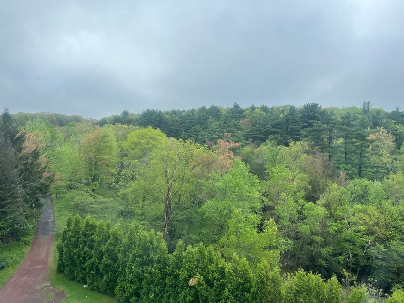 Mountain Scenery That Feels Comfortably Untouched