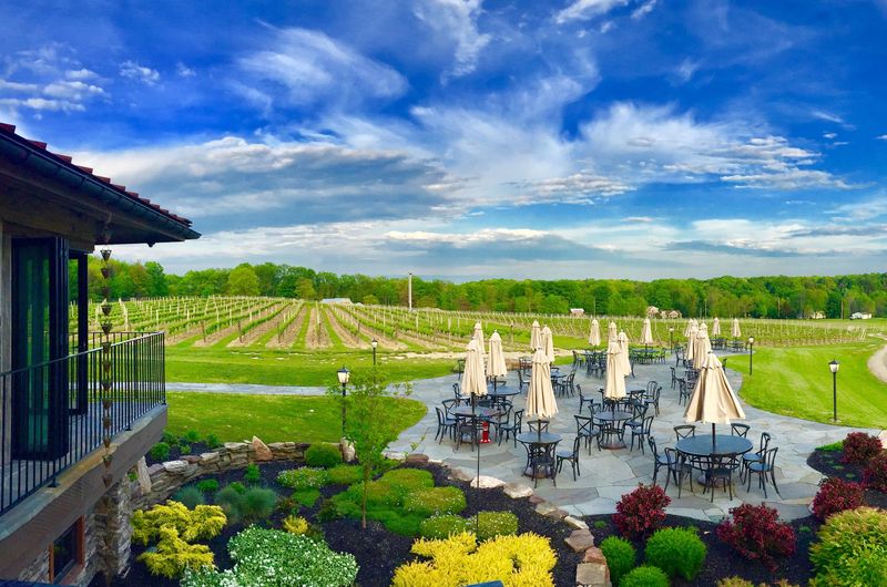 The Vineyard Views Are Worth Settling In For