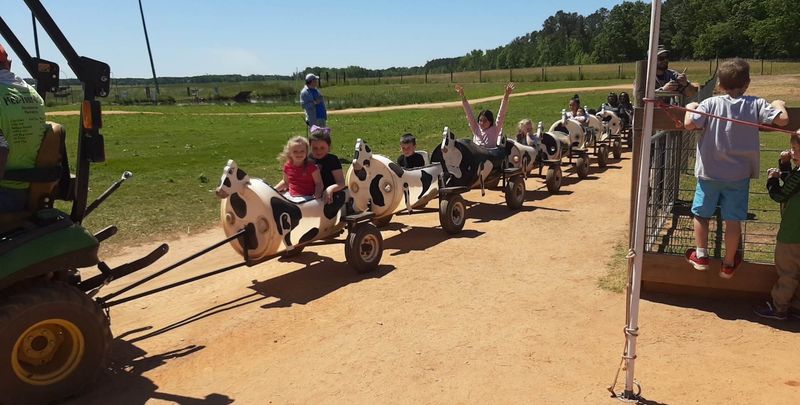 Farm Fun That Changes with the Season: Washington Farms