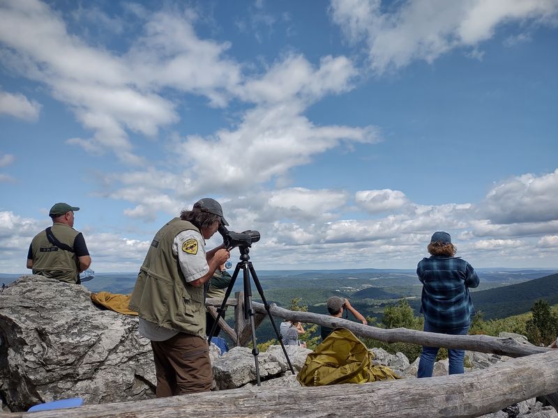 The Story Behind a Protected Sky