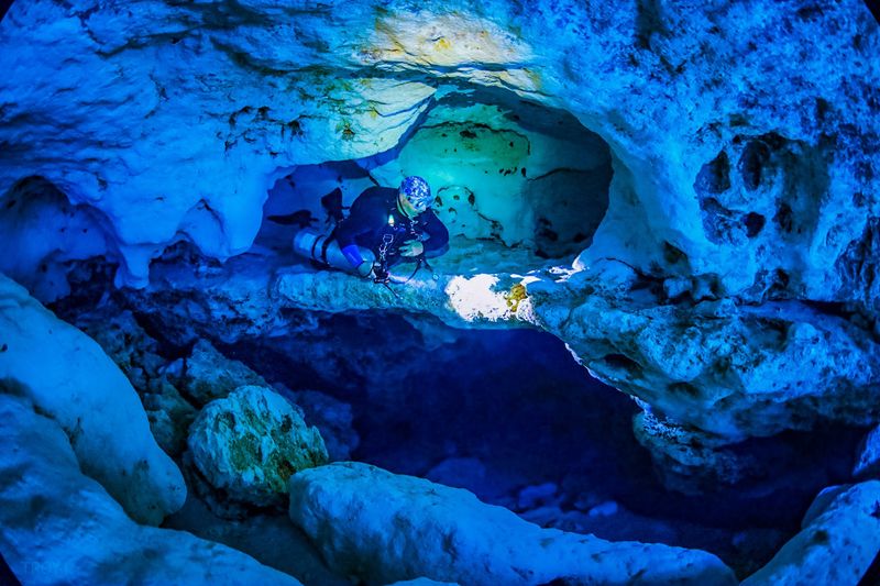 A Snorkeler's View of Freshwater Life