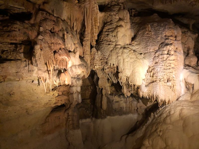 The Discovery Tour Opens Up a Hidden World