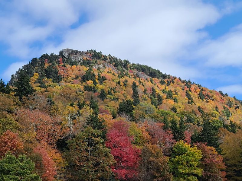 Fall Color Beneath Your Feet