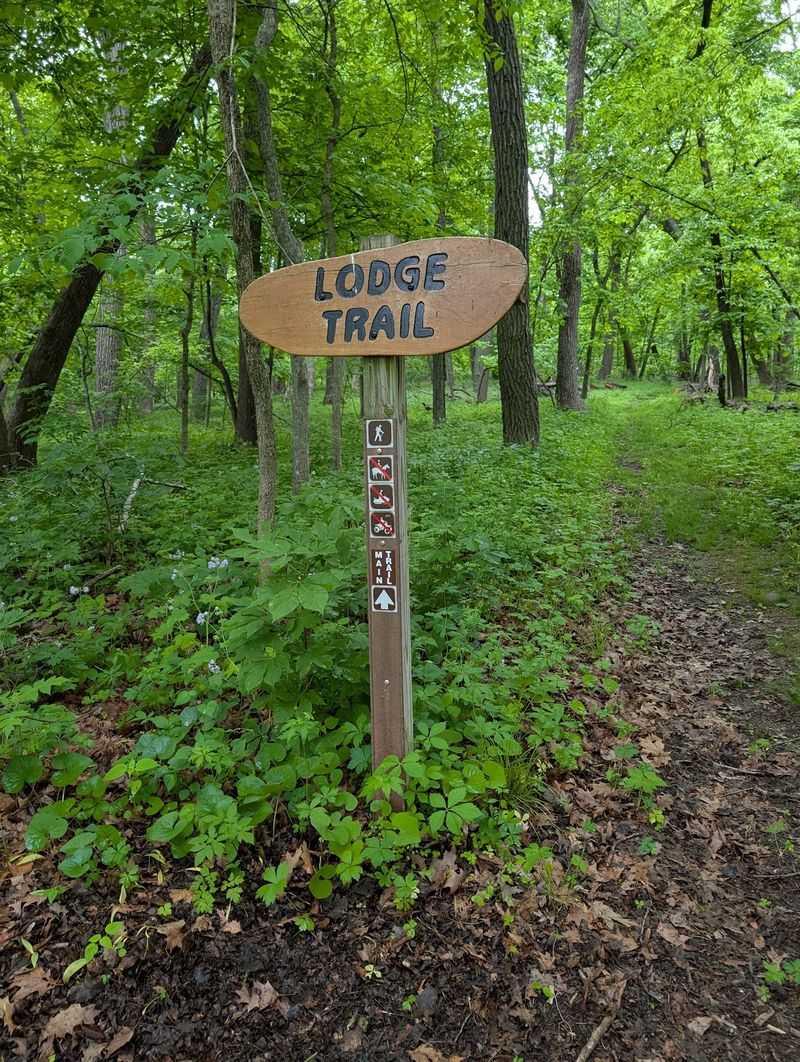 A Walk Along the Backbone Ridge