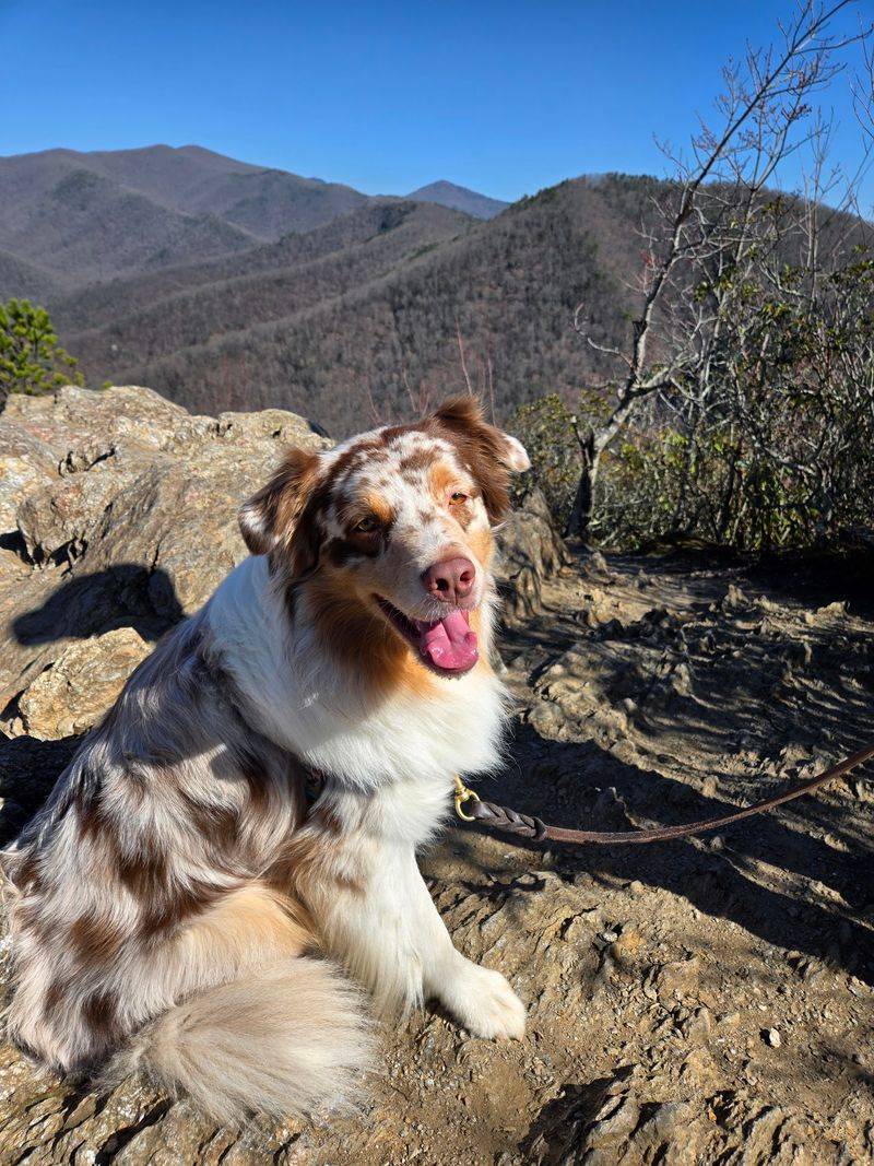 The Climb Makes The Reward Feel Bigger