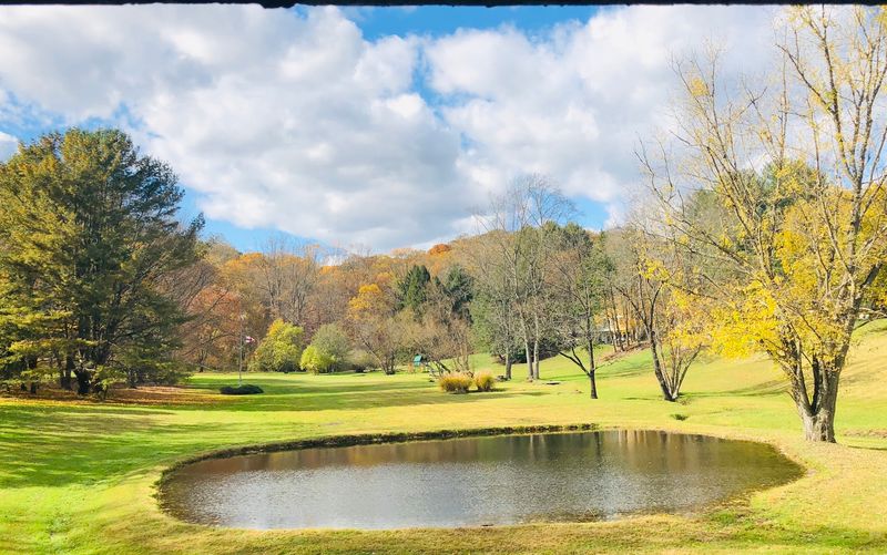 Wooded Valley Views Worth Slowing Down For