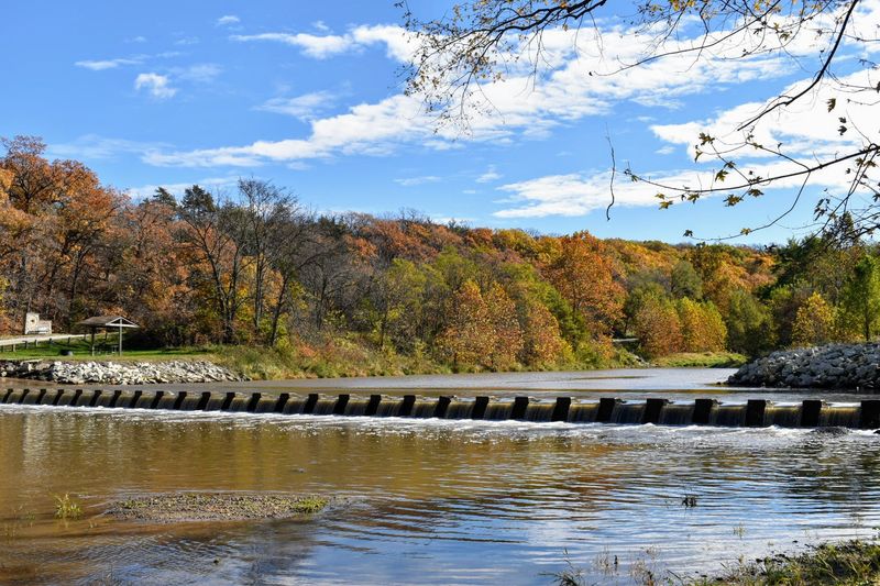 A Quiet Look at the Riverbank