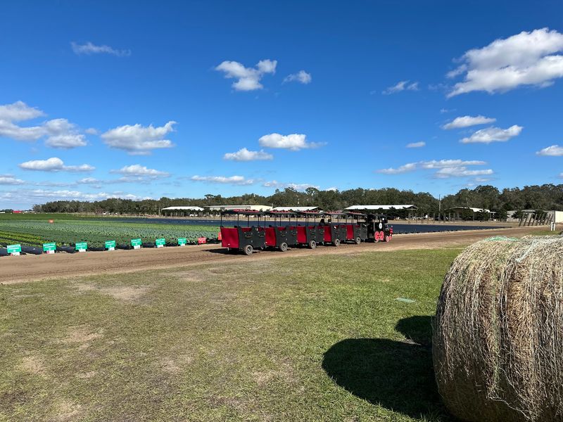 A Ride Through the Farm