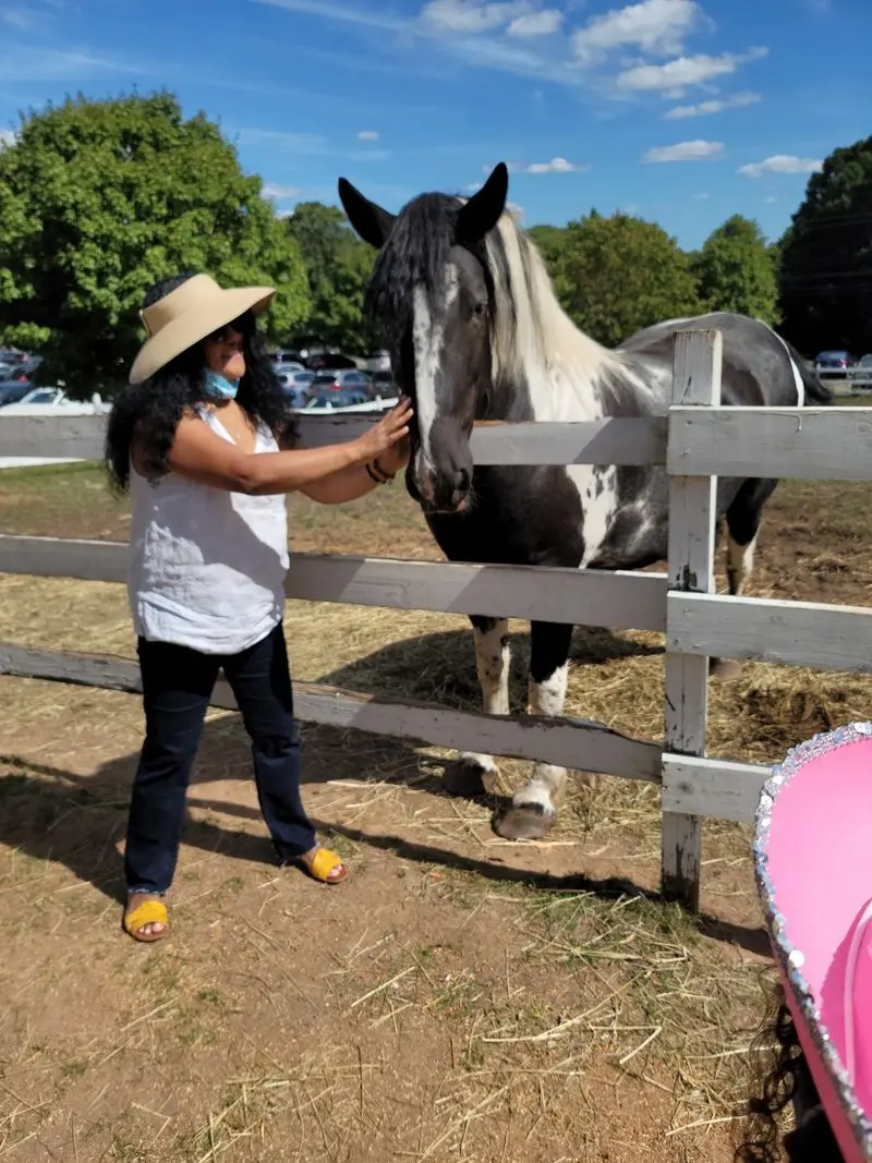 Flamig Farm, West Simsbury, Hartford County