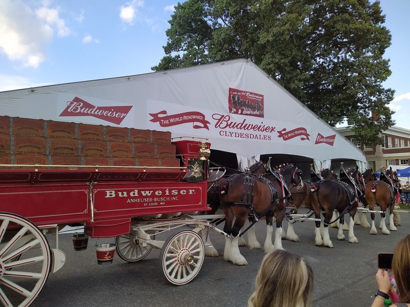 The Big E: Six States in One Afternoon