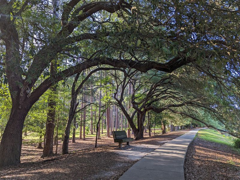 Sesquicentennial State Park - Columbia