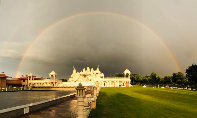 A White Stone Vision Beyond the Trees