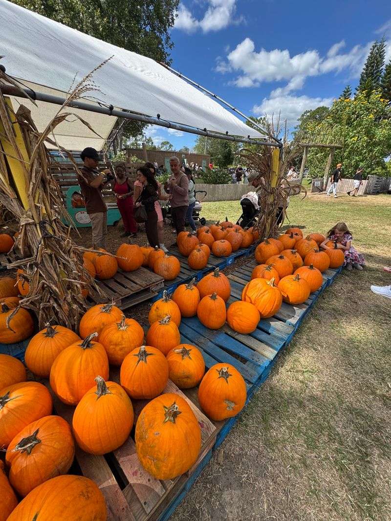 Great Scott Farms - Mount Dora