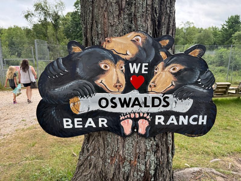 A Big U.P. Stop Built Around Rescued Bears