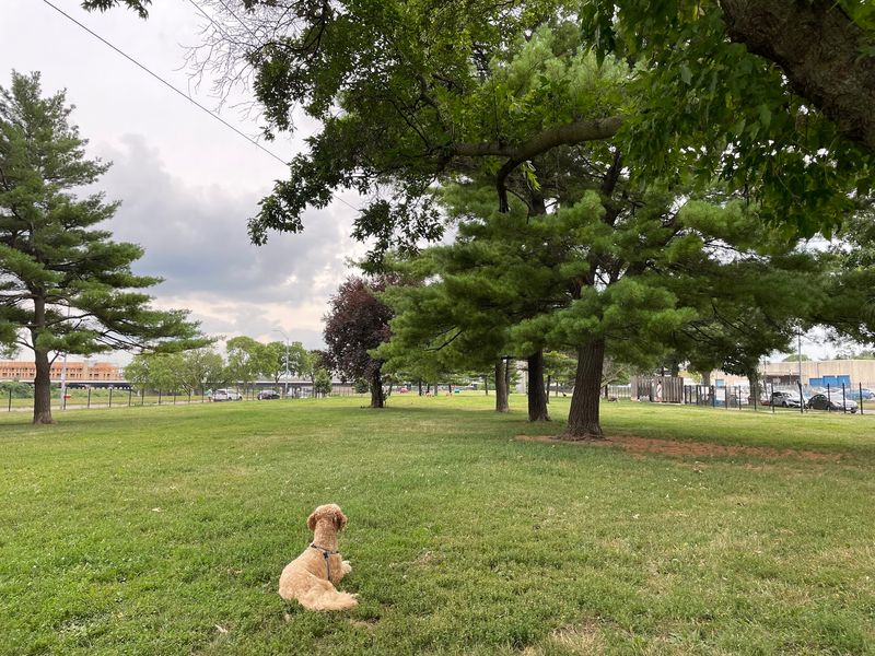 Riverwalk Dog Park - Des Moines