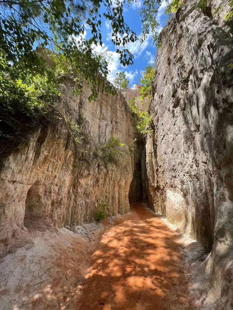 Providence Canyon Loop Trail, Lumpkin, Stewart County