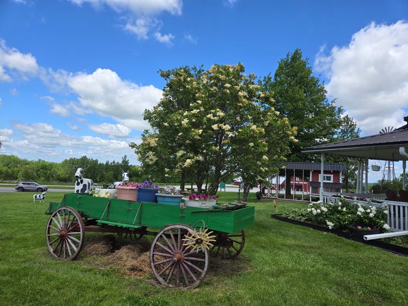 Small-Town Streets Make Wandering Easy