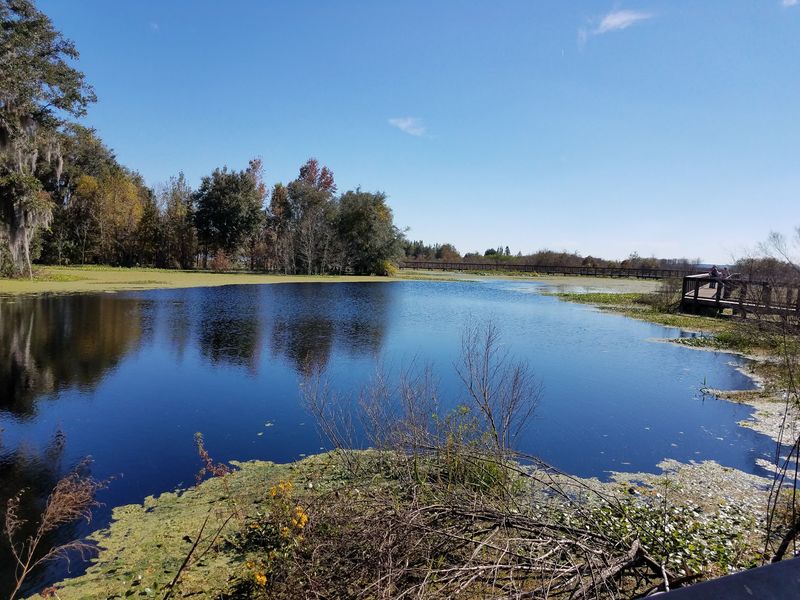 La Chua Trail - Gainesville