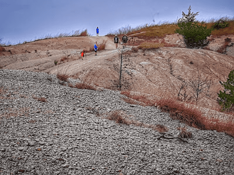 Easy Fossil Hunting Without Fancy Tools