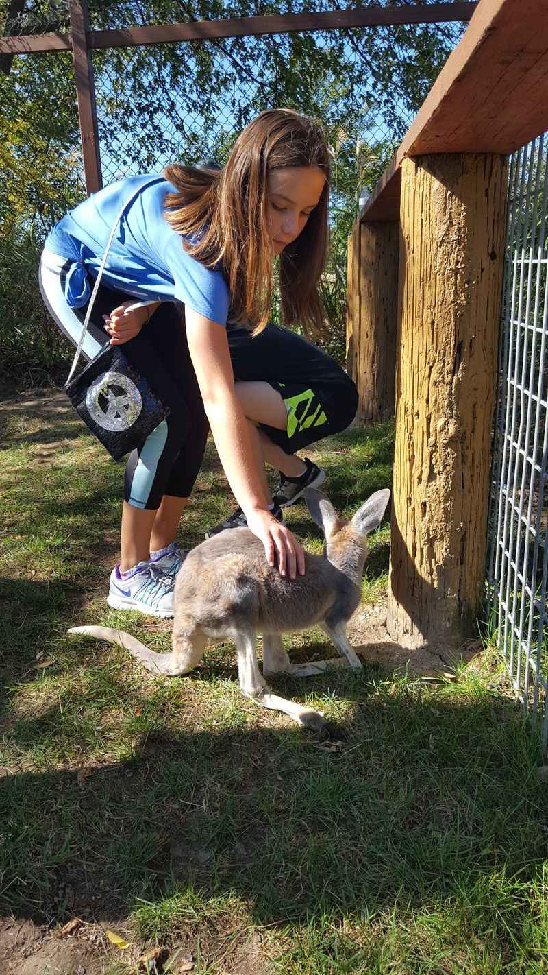Bear Den Zoo and Petting Farm - Waterford