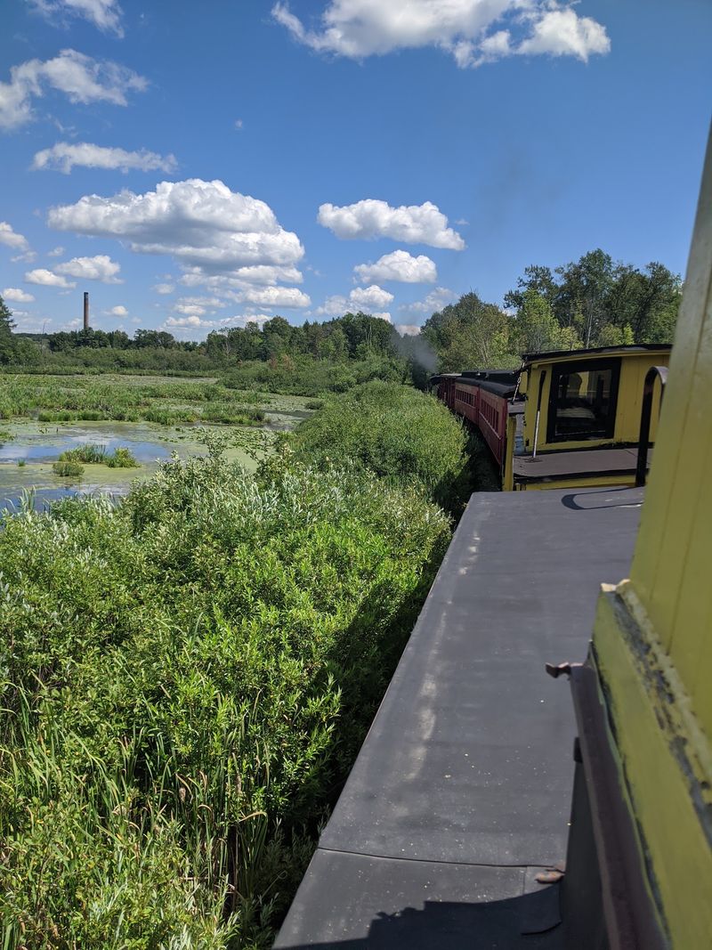 The Forest Tour Shows Off The Northwoods Up Close