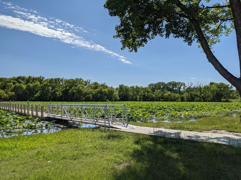 The Boardwalk at Lake Weatherford