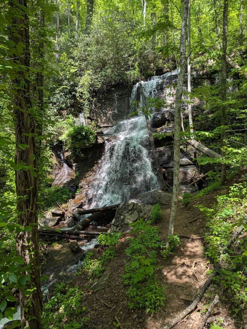 DeSoto Falls Trail - Cleveland