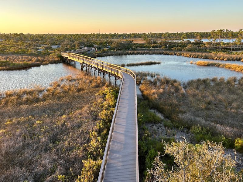 Observation Tower at Big Lagoon State Park in Pensacola, Escambia County,