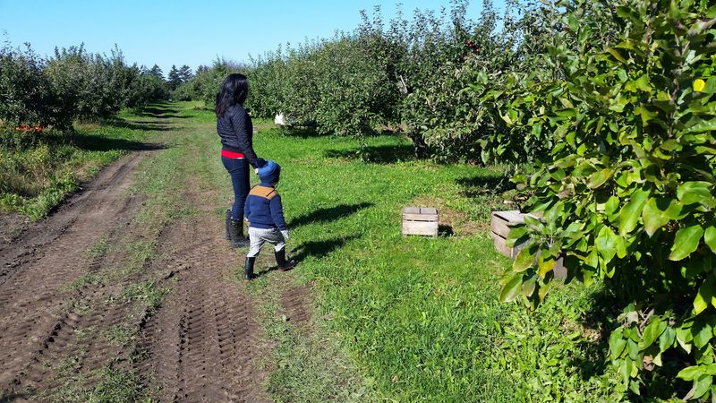 M&T's Gibbsville Orchard: The Pleasure of Keeping It Simple