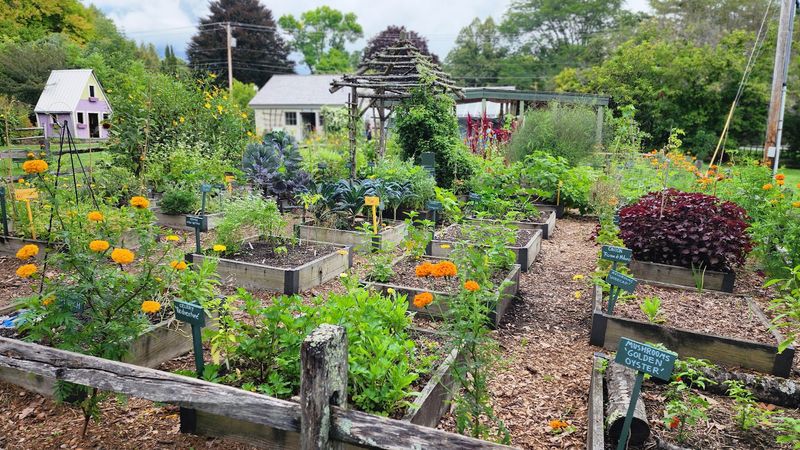 Berkshire Botanical Garden Harvest Festival: Color Around Every Turn