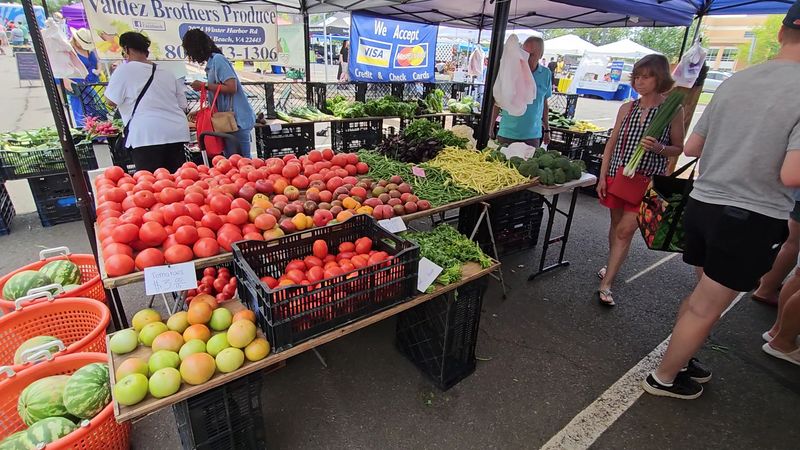 Historic Manassas Farmers Market - Manassas