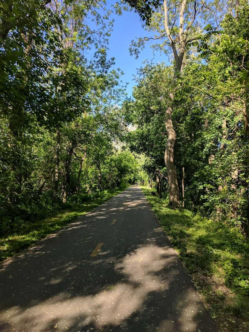 Norwottuck Rail Trail - Northampton