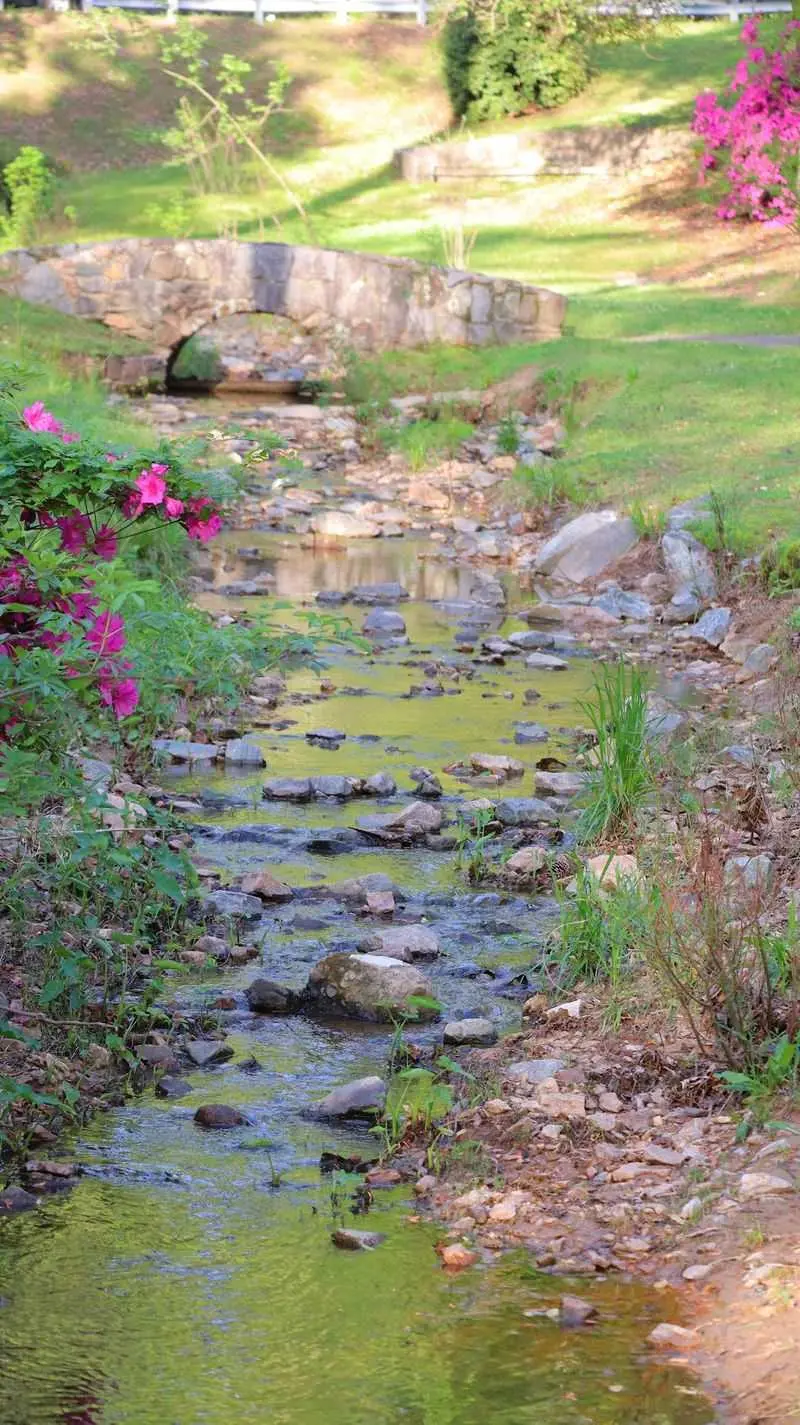 Dr. William Green Lee Camellia Garden - Macon