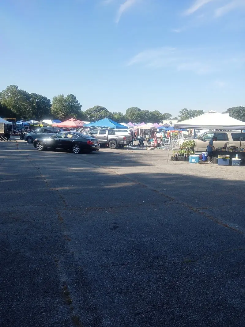 Weekend Treasure Hunting Before Showtime