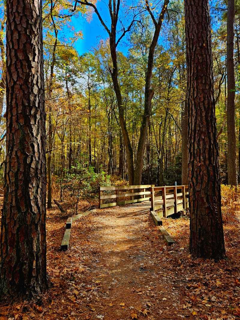 Trap Pond State Park - Laurel