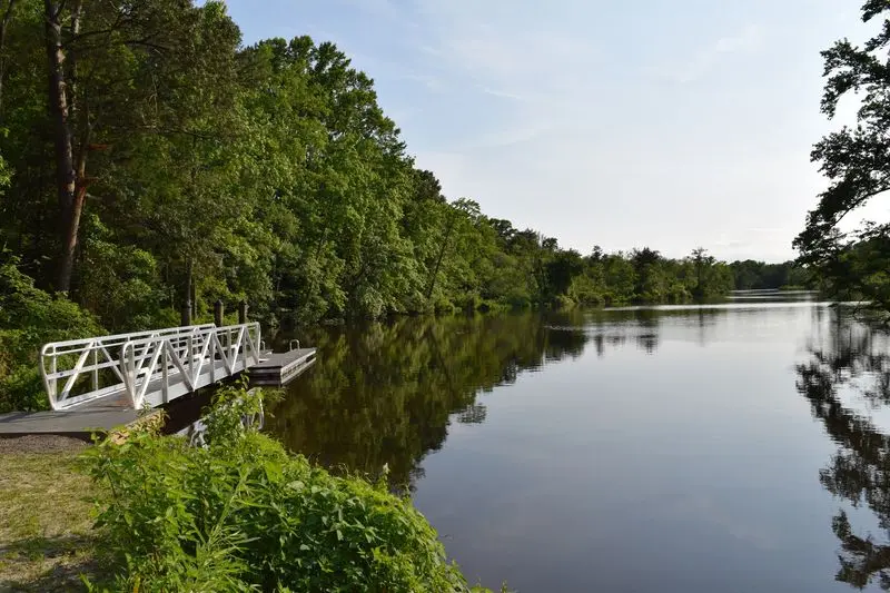 Edward H. McCabe Preserve in Milton, Sussex County,