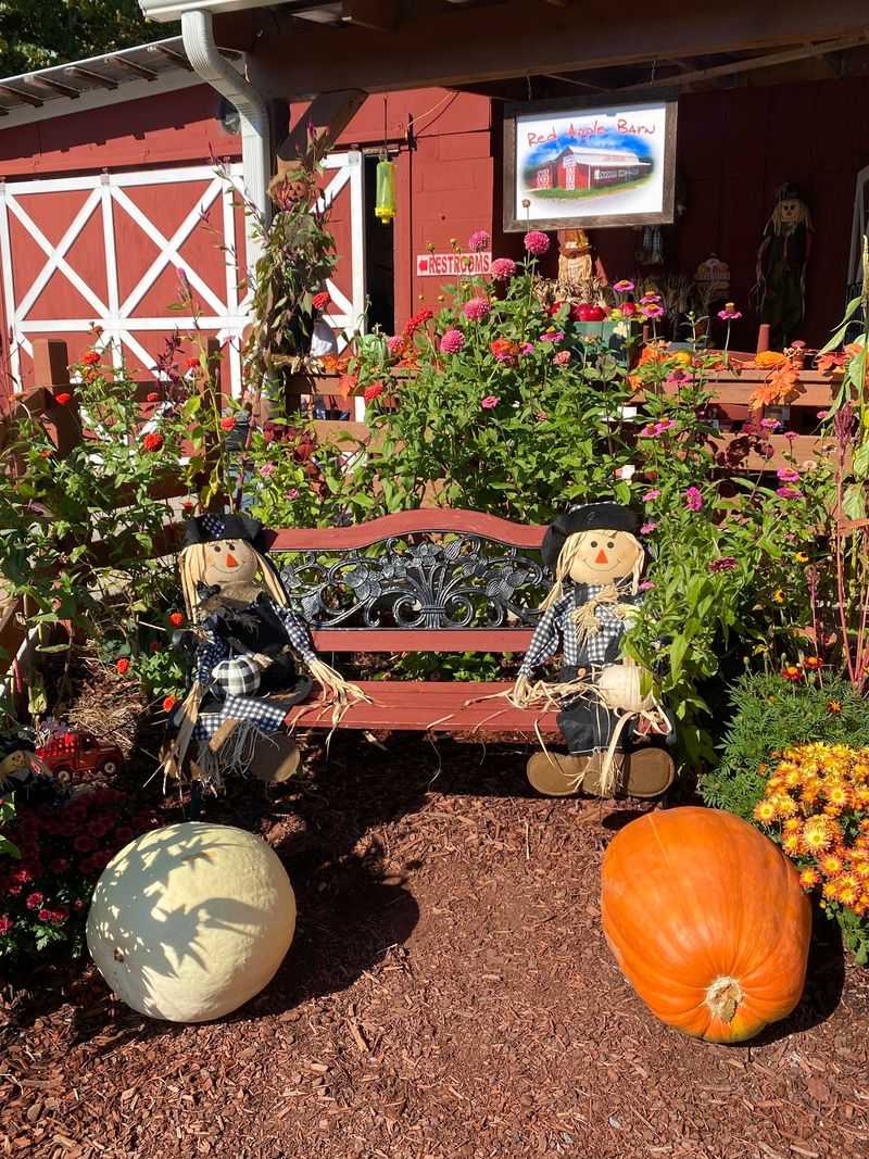 Red Apple Barn, Ellijay, Gilmer County