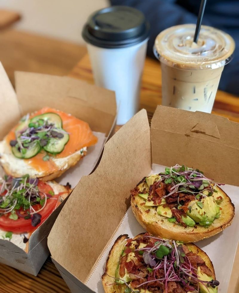 Black Sheep Bagel Cafe - Cambridge