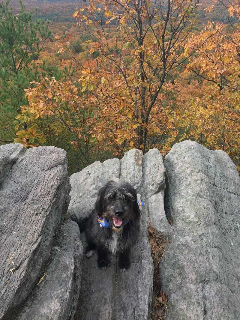 Sunset Rocks Trail, Gardners, Cumberland County,