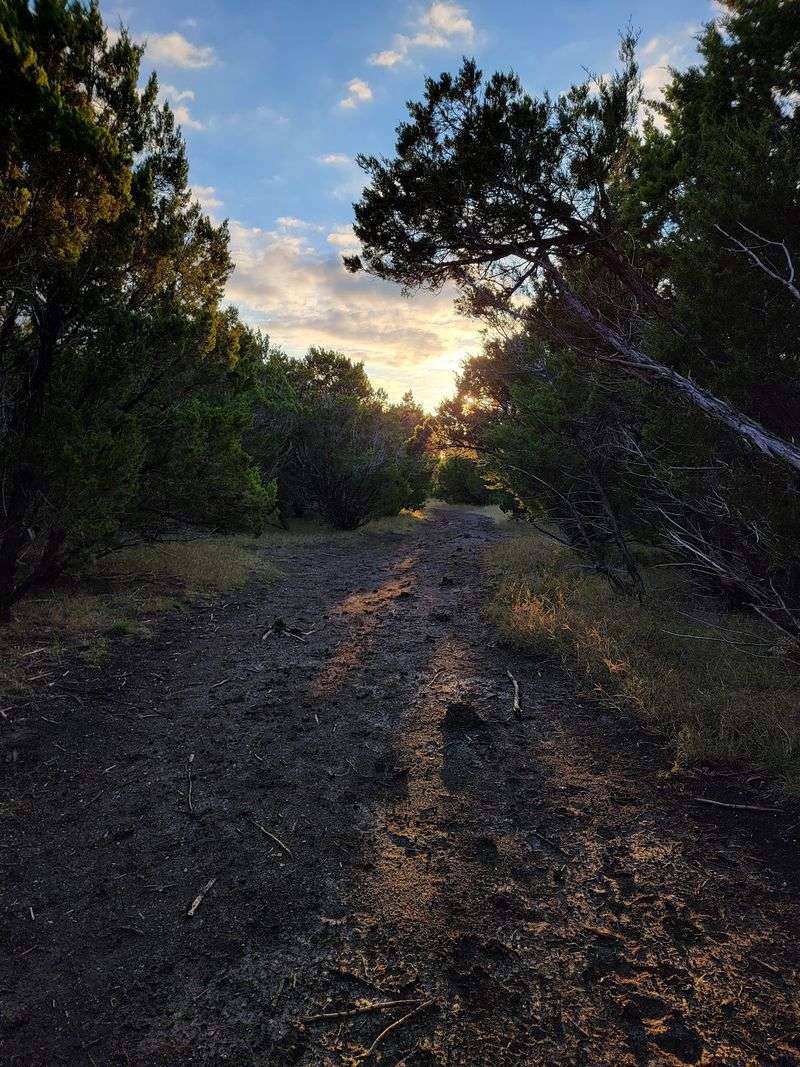 Mary Moore Searight Off Leash Trailhead - Austin