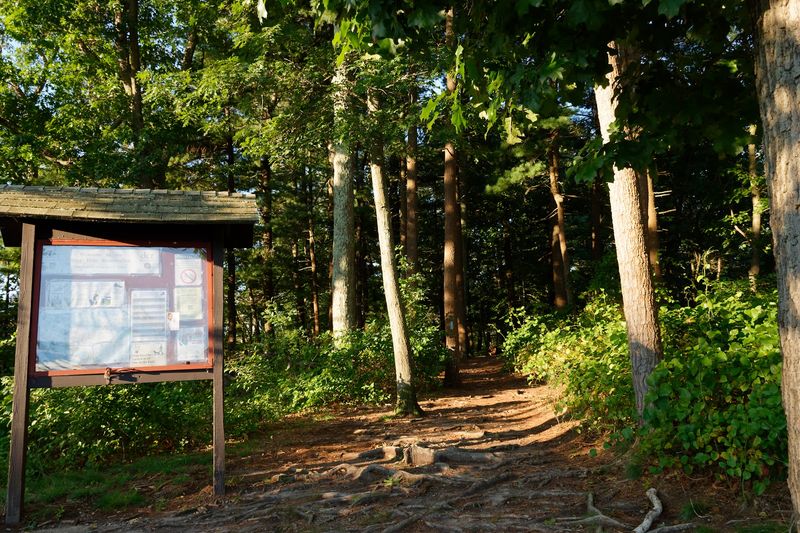 Great Blue Hill via Skyline Trail - Milton