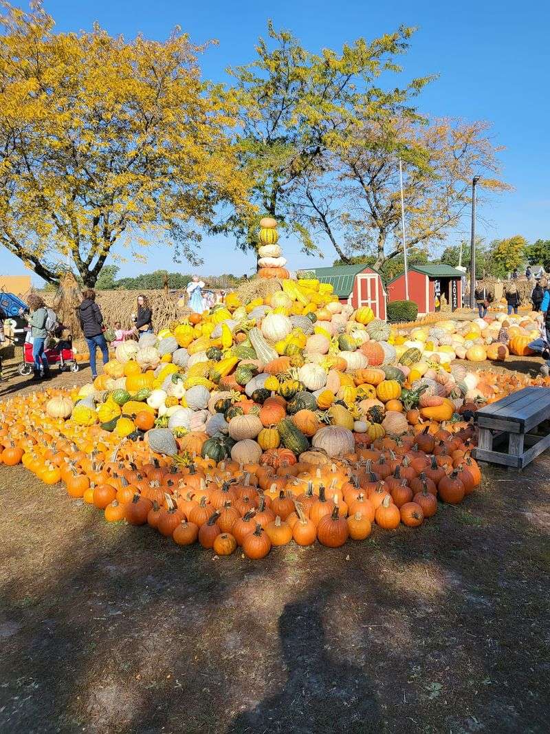 Jerry Smith Pumpkin Farm - Kenosha