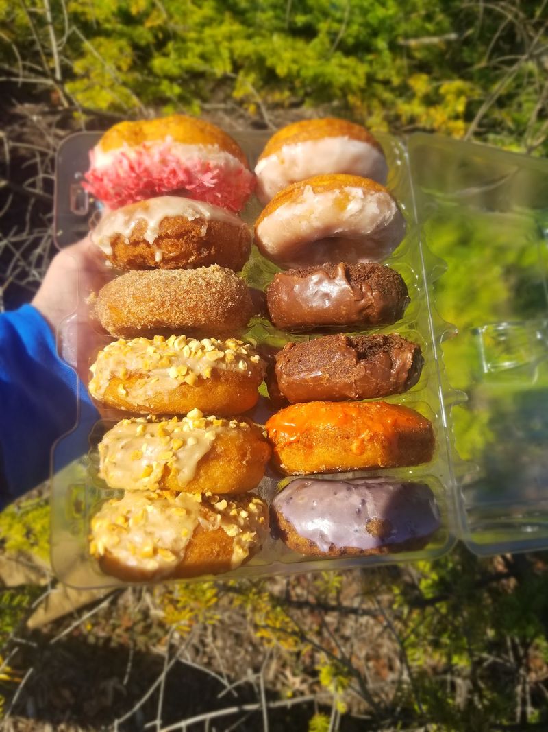 MacQueen Orchards, Holland, Lucas County, Apple Cider Donut and Coffee