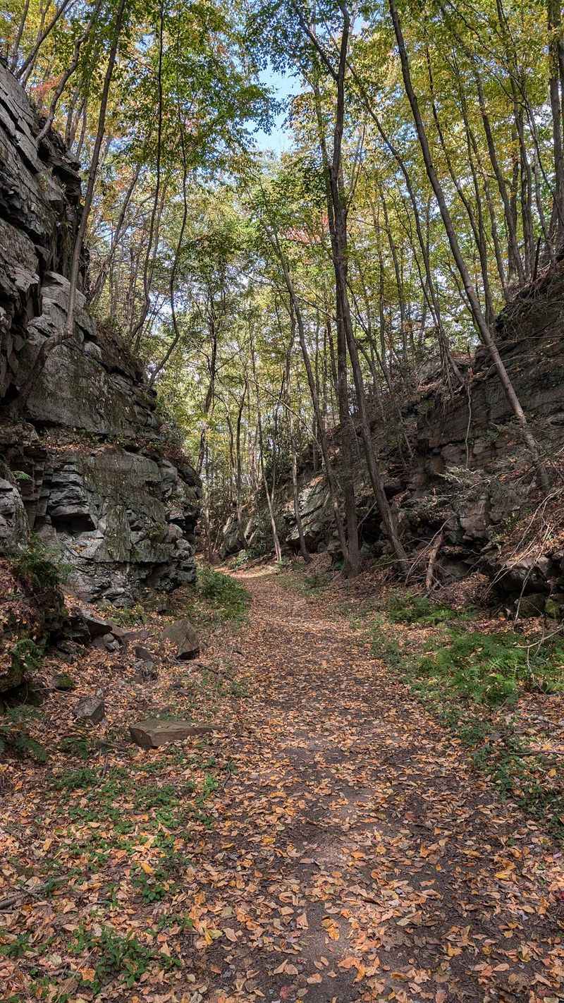 Big Pocono Summit Trail, Tannersville, Monroe County,