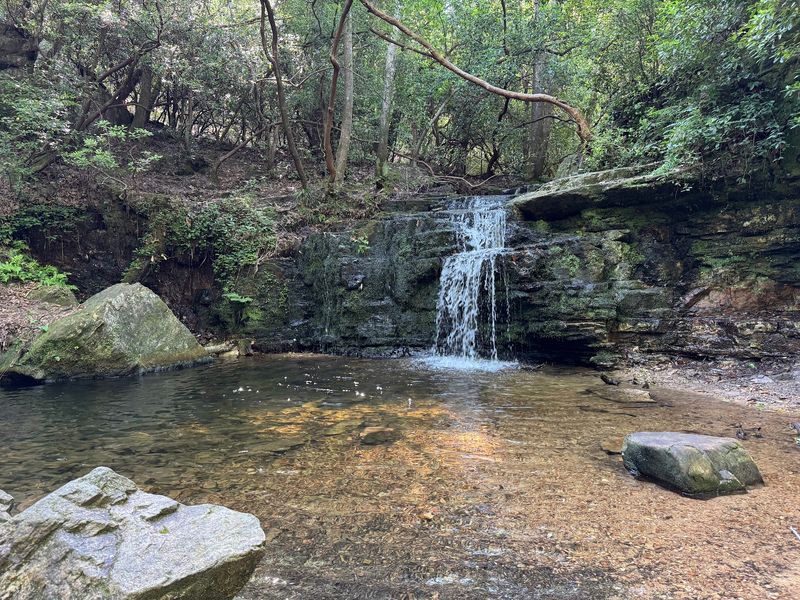 Wolf Den Loop, F.D. Roosevelt State Park, Pine Mountain